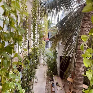 https://anana-coliving.quintano-roohotels.com